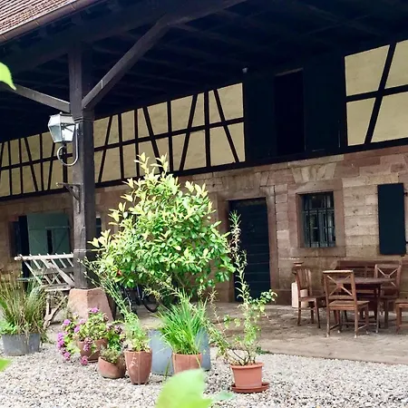 Tatil Evi Buselmeier *